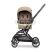 Lorelli Makaya sport babakocsi - Beige Lorelli Makaya sport babakocsi - Beige